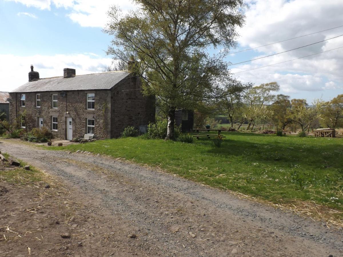 Hillis Close Farm Cottage Haltwhistle Εξωτερικό φωτογραφία