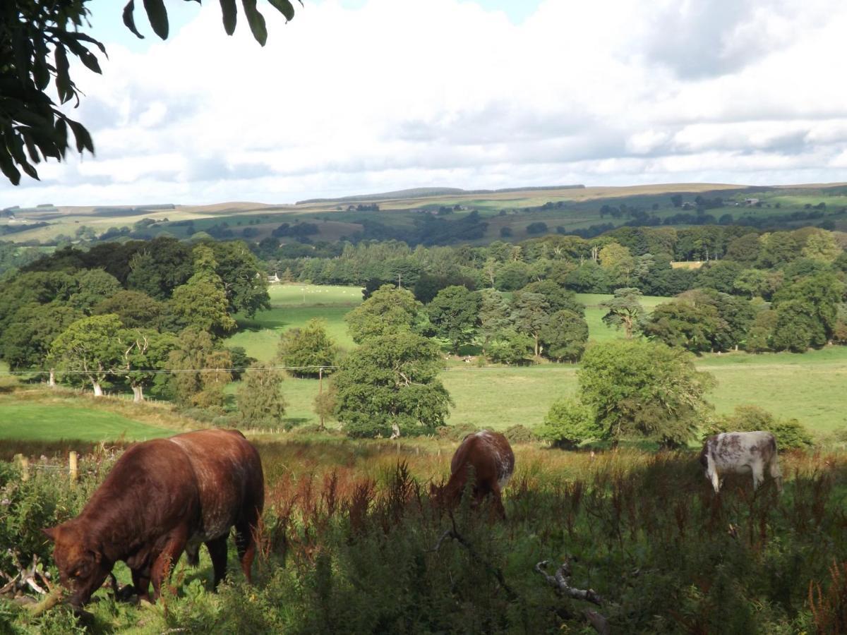 Hillis Close Farm Cottage Haltwhistle Εξωτερικό φωτογραφία
